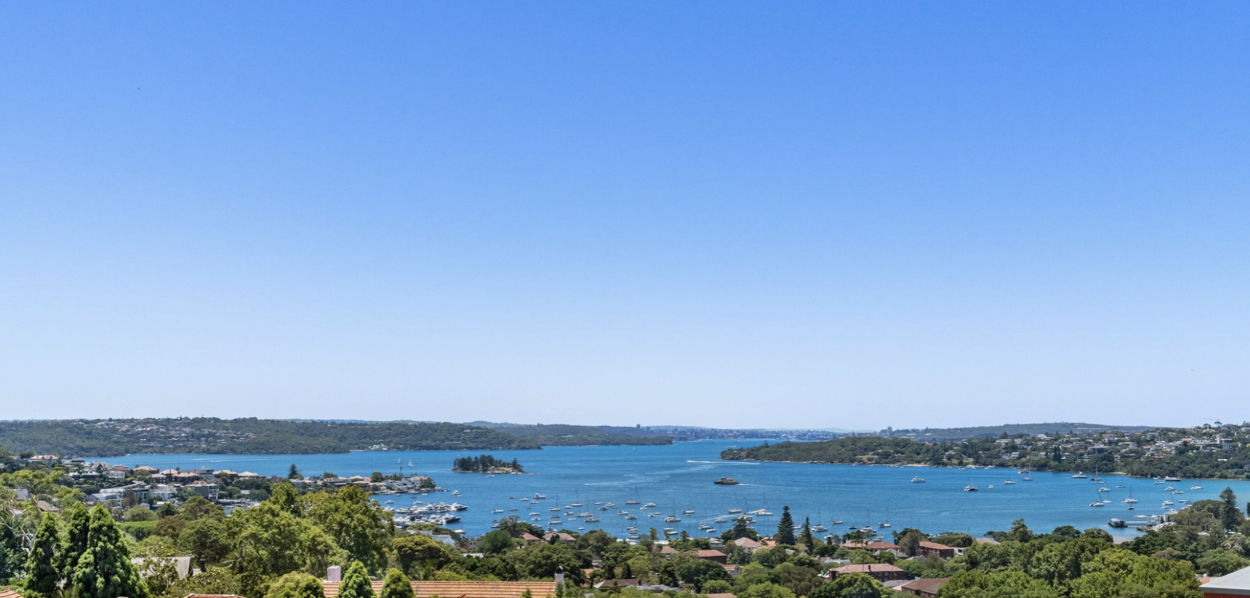 Bellevue Hill streetscape with large established homes