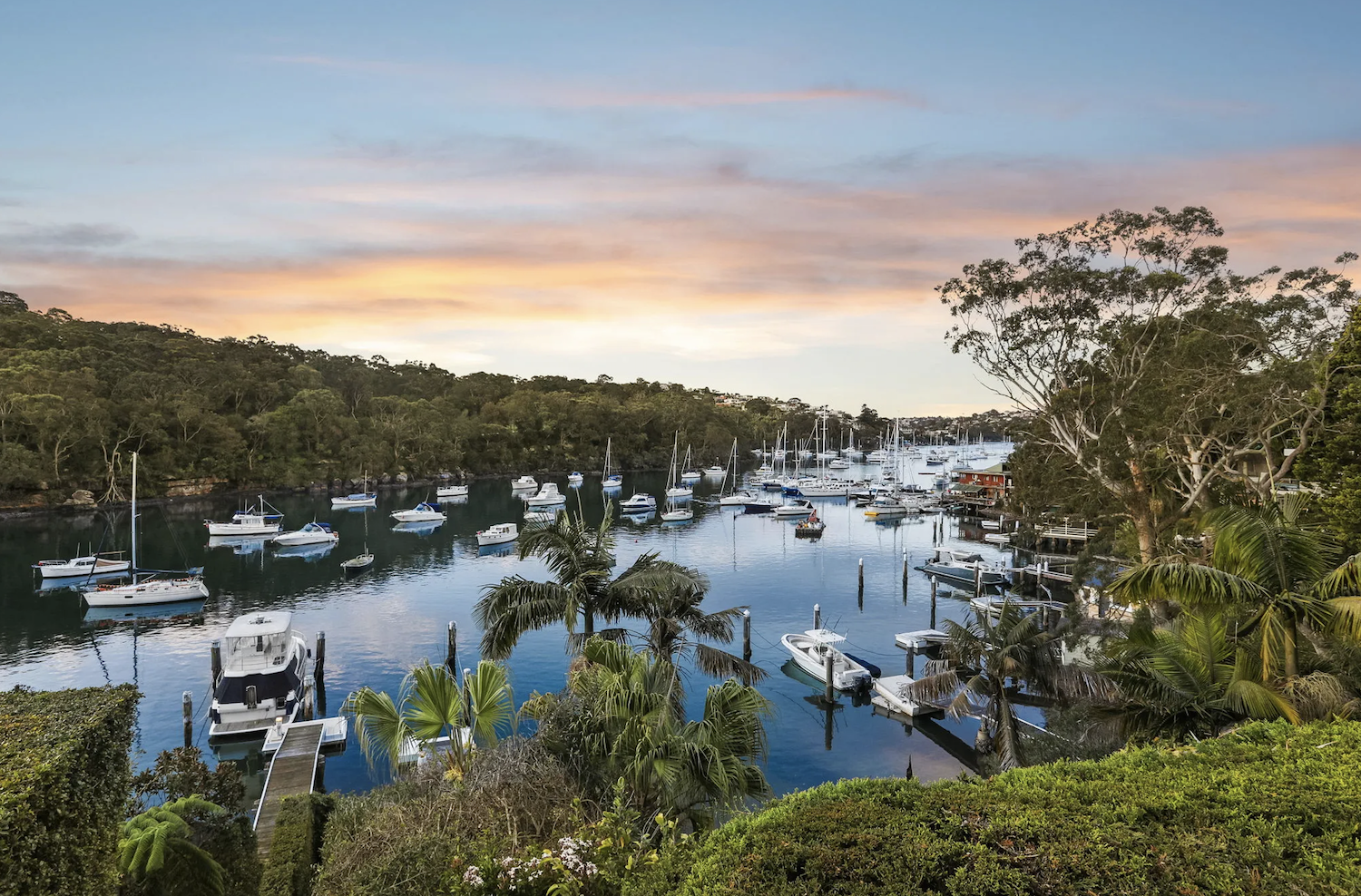 Cammeray Buyers Guide 2026: What Serious Buyers Need to Know